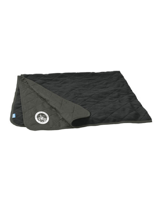 Beach Travel Blanket