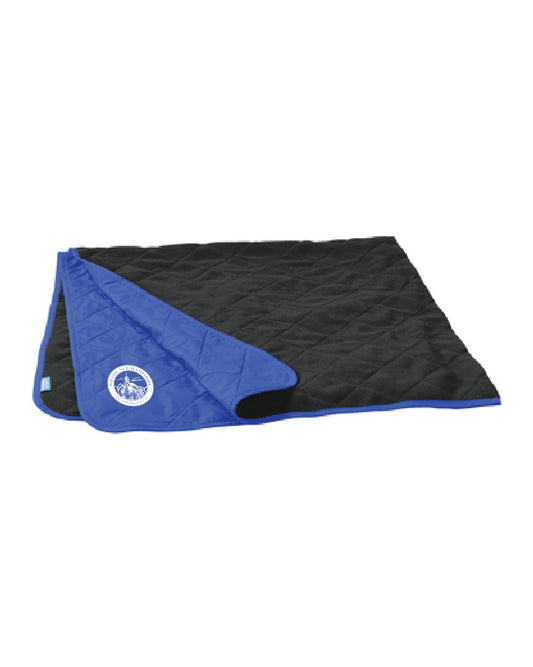 Beach Travel Blanket